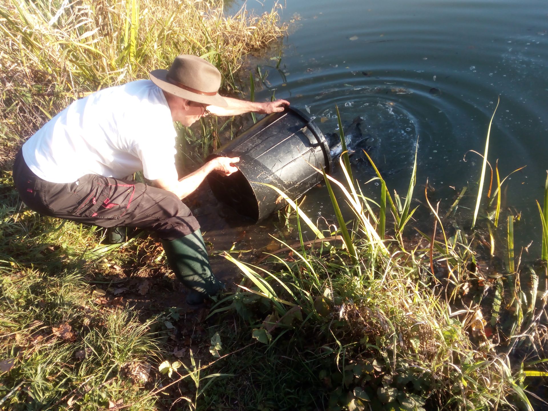 11.10.2019, ce lâcher a été très bon pour les pêcheurs, beaucoup de prises