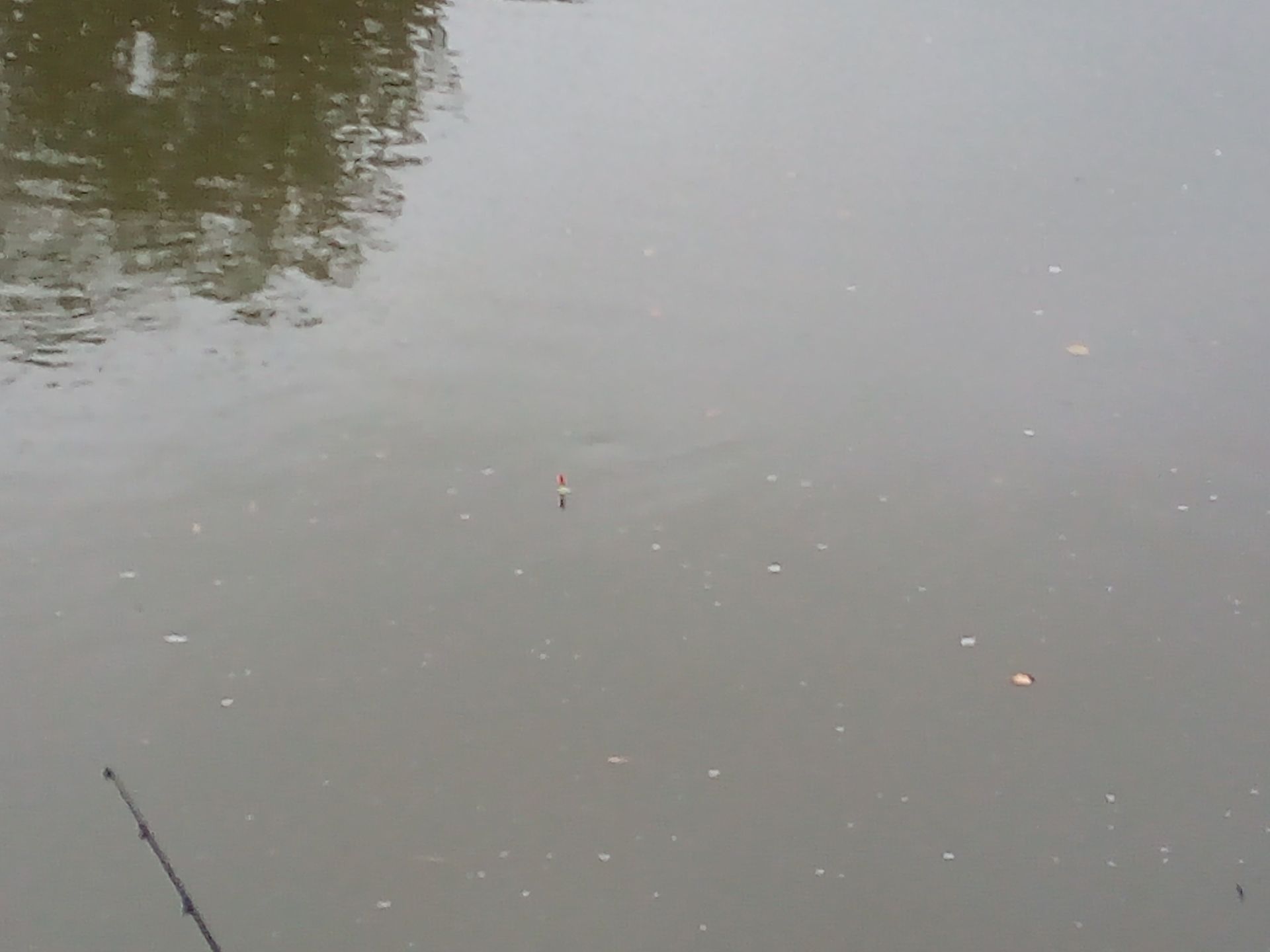 Les bouchons n'ont pas beaucoup plongés, beaucoup de pêcheurs bredouilles.