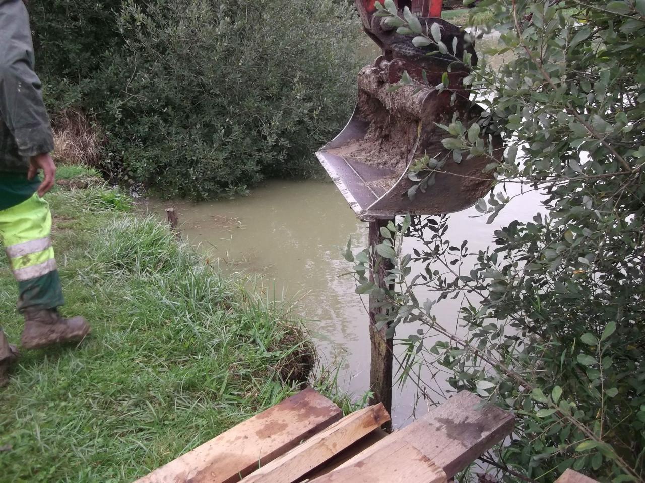 Renforcement de la digue entre les saules