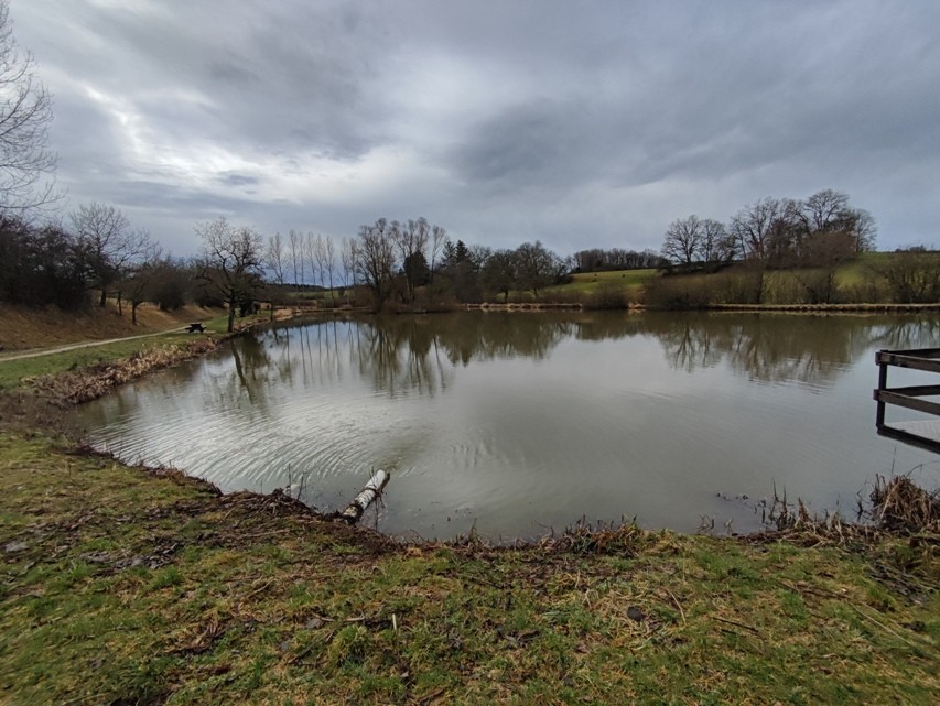 Etang