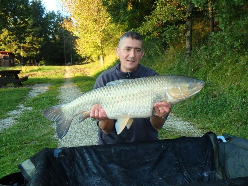 Amour blanc de 9,500 kgs